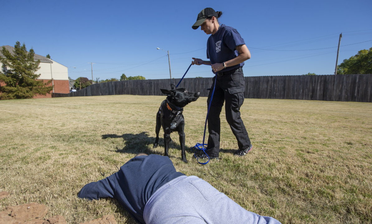 Wichita Rescue Search and rescue dogs train in Wichita | Wichita Eagle