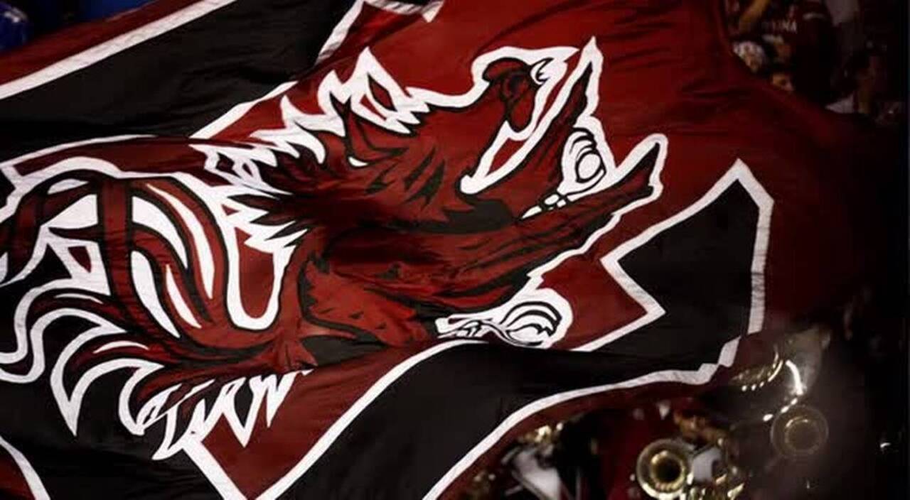 South Carolina's 3 most important football games in 2016