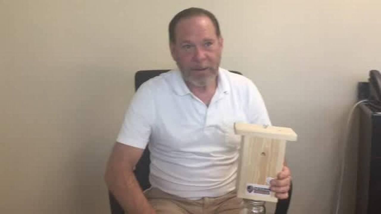 This insect is the worst home-destroying pest in the Peach State, study says. What is it?