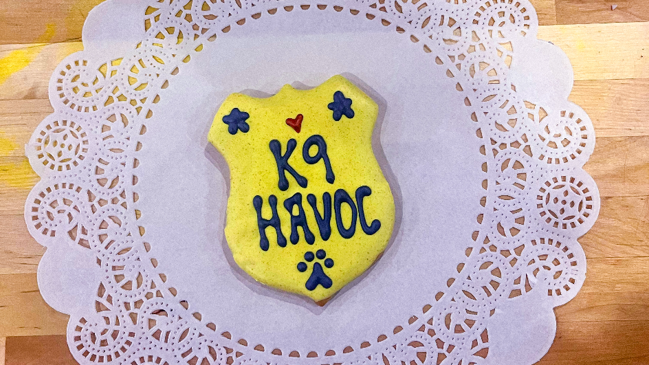 Here's one way to help wounded Columbus Police K9 Havoc 