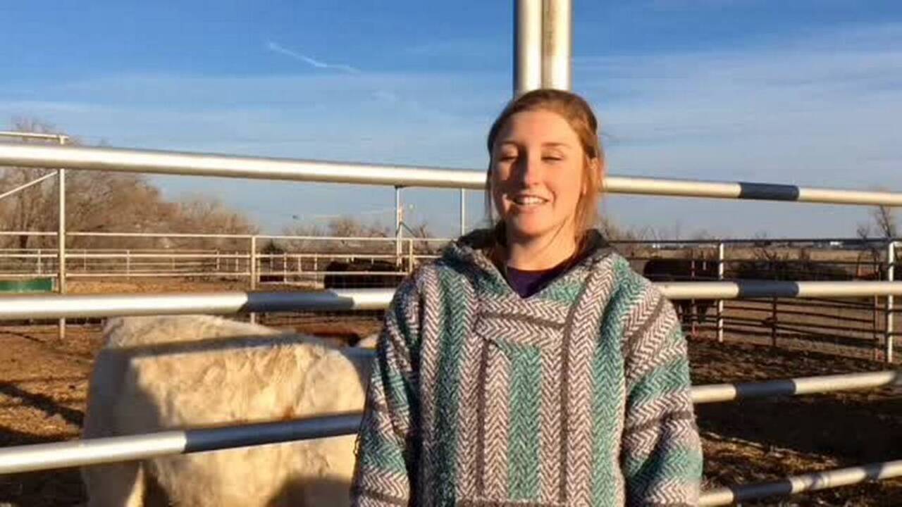4-H families take in calves orphaned by wildfires