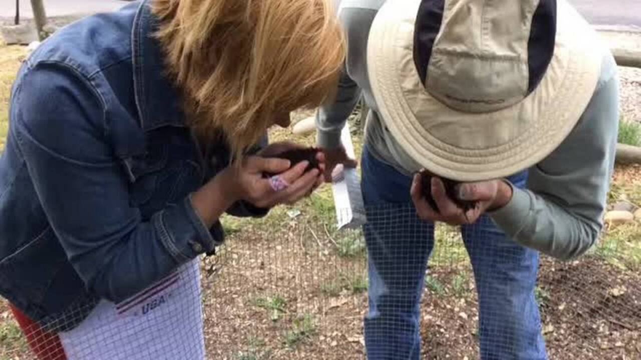 Dig In video series: Wake up and smell the compost