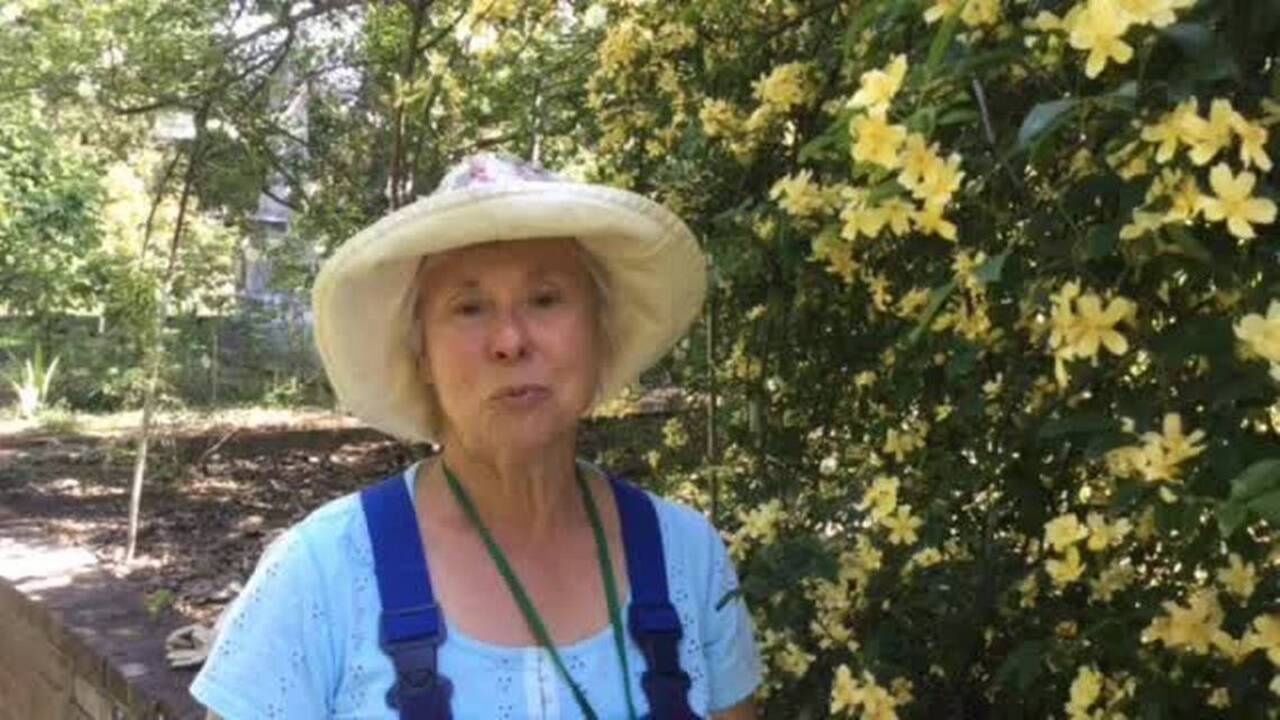 See Sacramento's Living Library of Roses