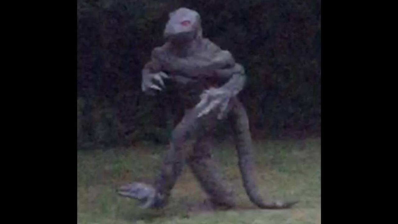 Could Lizard Man emerge during eclipse? SC agency says to ‘remain ever vigilant’