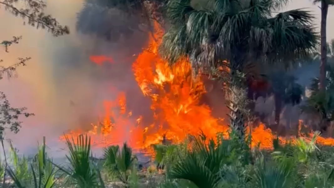 Lightning starts fire at wildlife refuge near Hilton Head Island