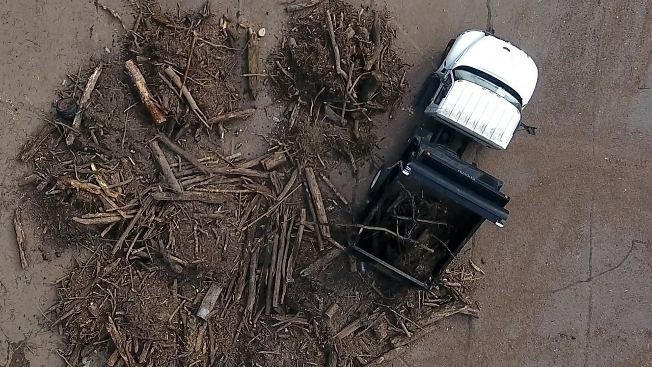 Who pays to get the gators and mold out of NC’s parks? CuriousNC gets the answer.