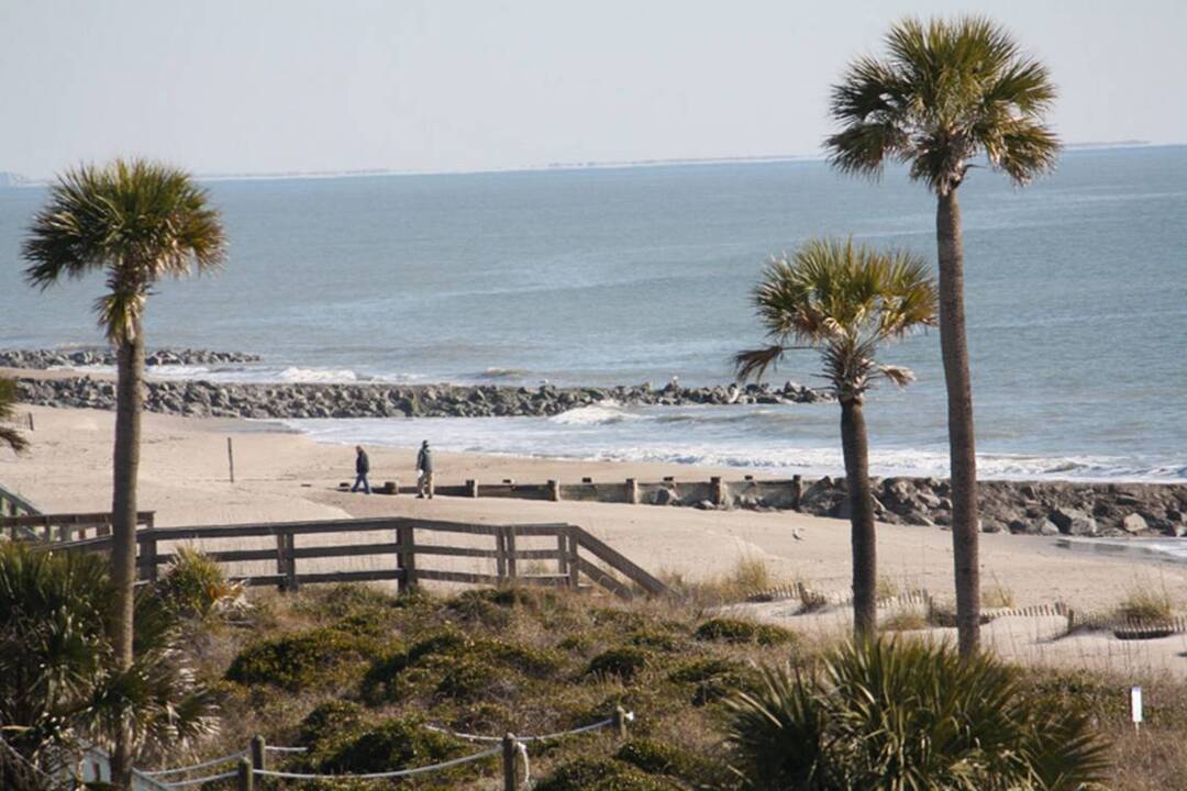 Love spending time with nature?  Check out these 4 parks close to Beaufort County