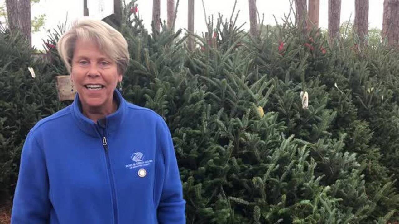 Boys & Girls Clubs opens 63rd annual Christmas tree lot to benefit children in Bradenton
