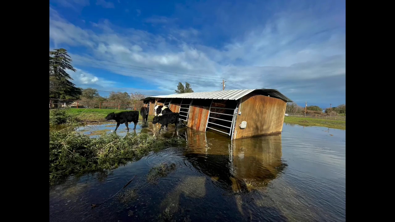 Thunderstorm’s powerful winds carry horse stable from one pasture to another in Oakdale