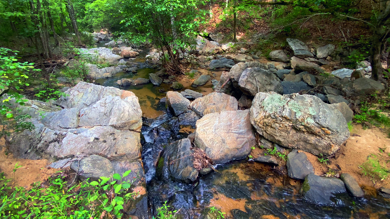‘There’s something really special here.’ Go inside the Upatoi Ravines Natural Area