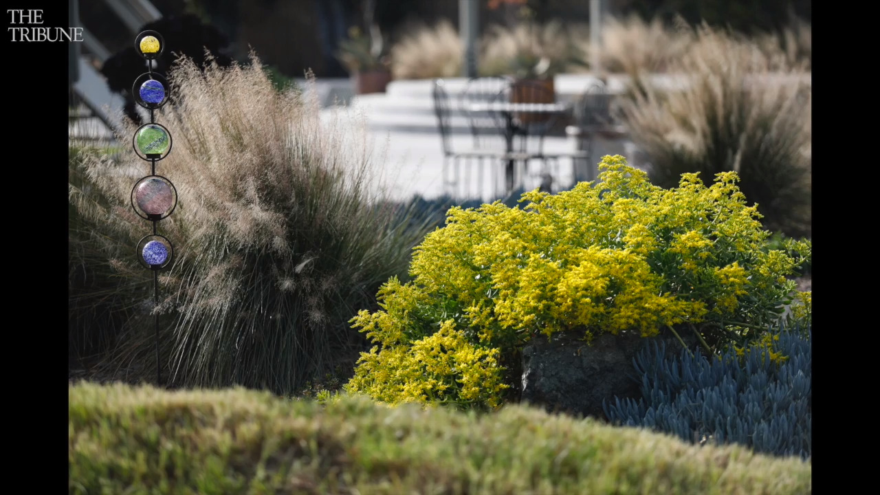 Tour this welcoming Los Osos garden that's perfect for entertaining