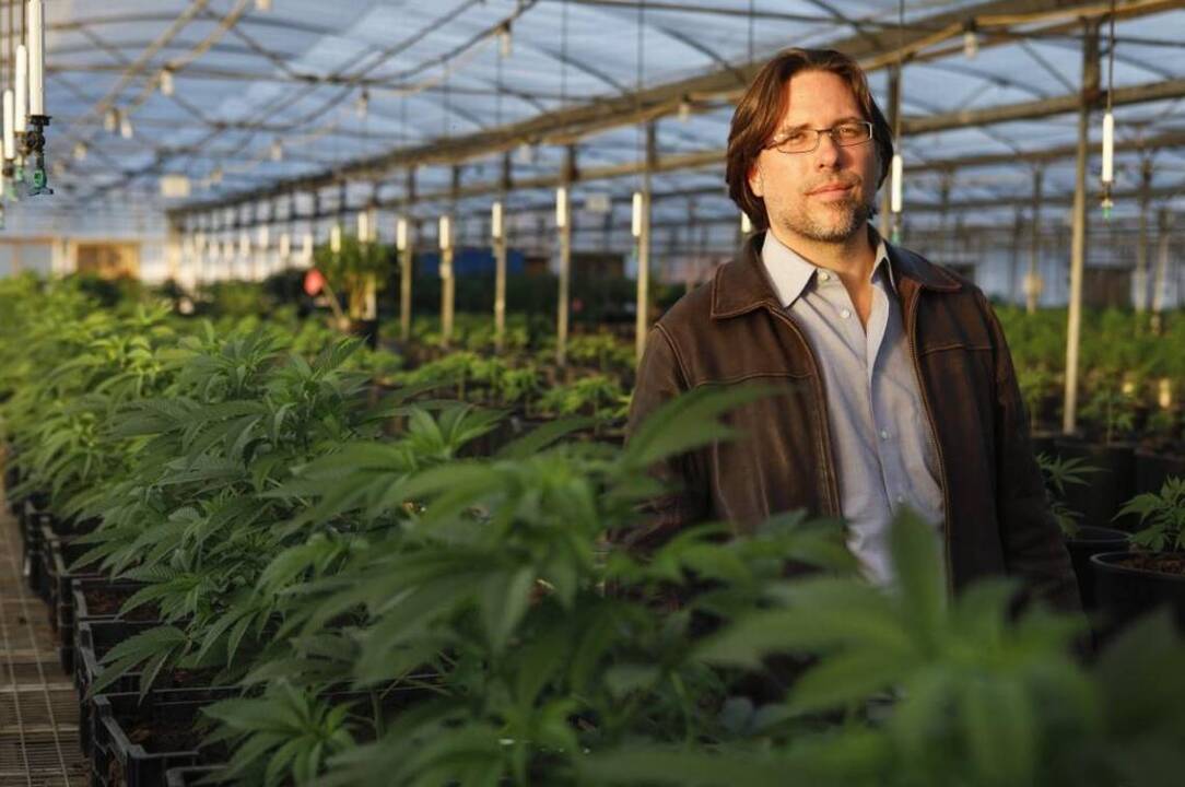 California and 37 states — even the red ones — want to let marijuana industry use banks