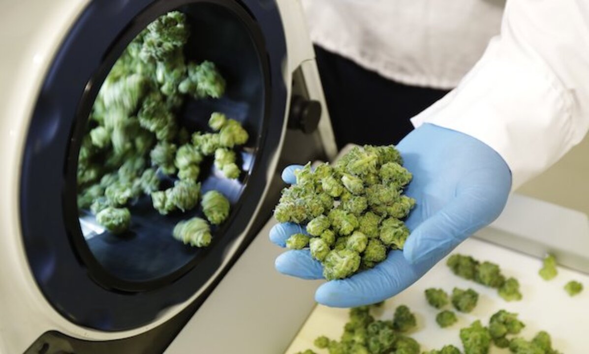 Missouri House seeks testimony from medical marijuana czar after licensing complaints