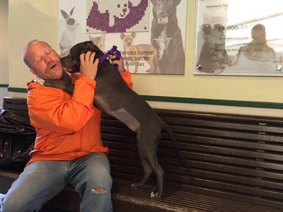 Sacramento firefighter adopts Chunk, the dog he rescued