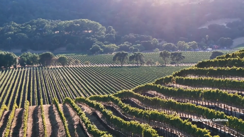 Traveling with friends? Scenic SLO County city ranked among top trip destinations