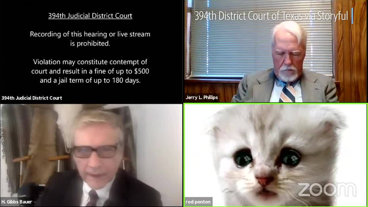 Texas judge issues zoom warning after lawyer struggles with cat filter