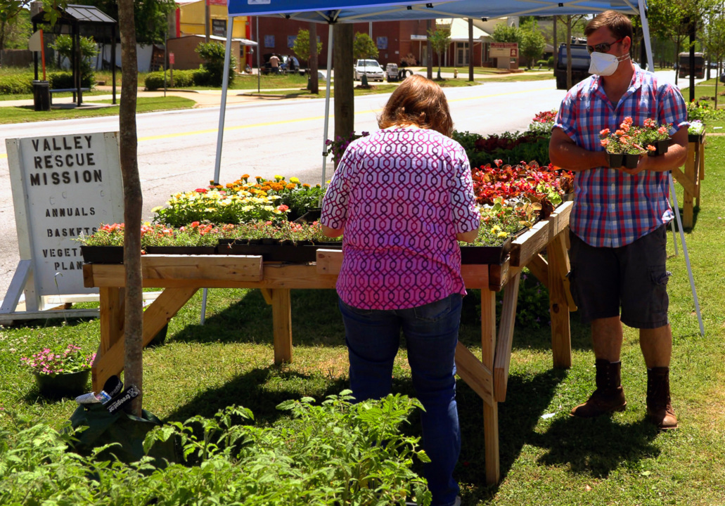 Despite social distancing and pandemic fears, annual plant sale continues