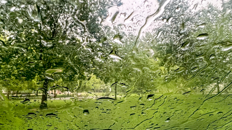 May rainstorm dampens Boise and surrounding communities