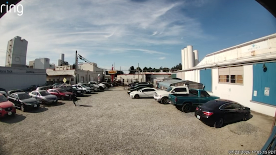 Workers at Lynden packaging plant flee after ICE 'soft raid'