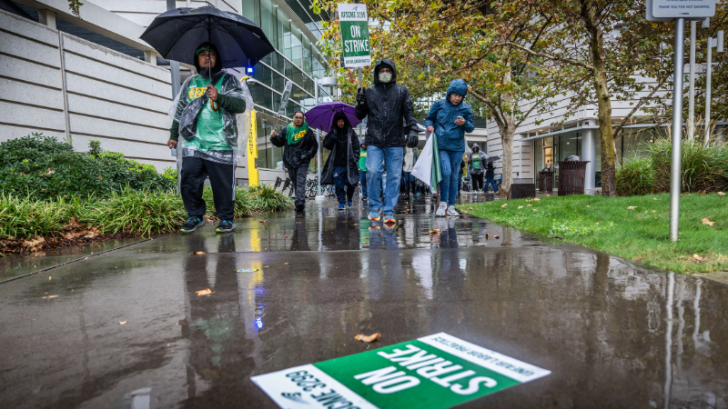 See UC Davis workers strike for better wages, lower medical insurance cost