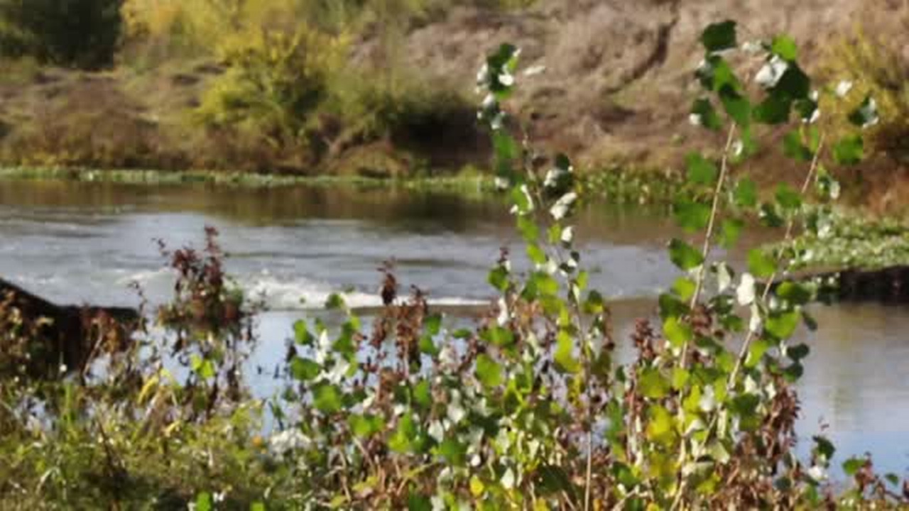 Book of Dreams Video: Tuolumne River Trust