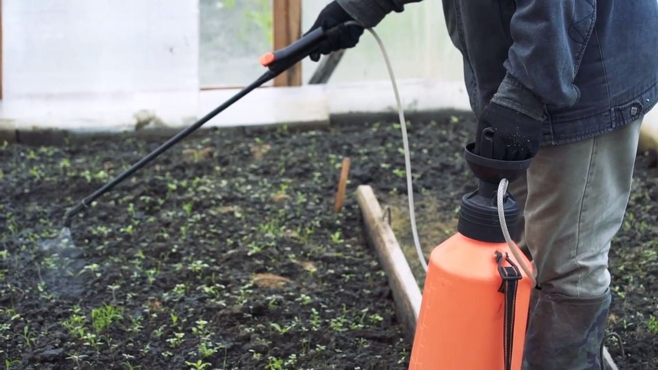 How to safely use pesticides