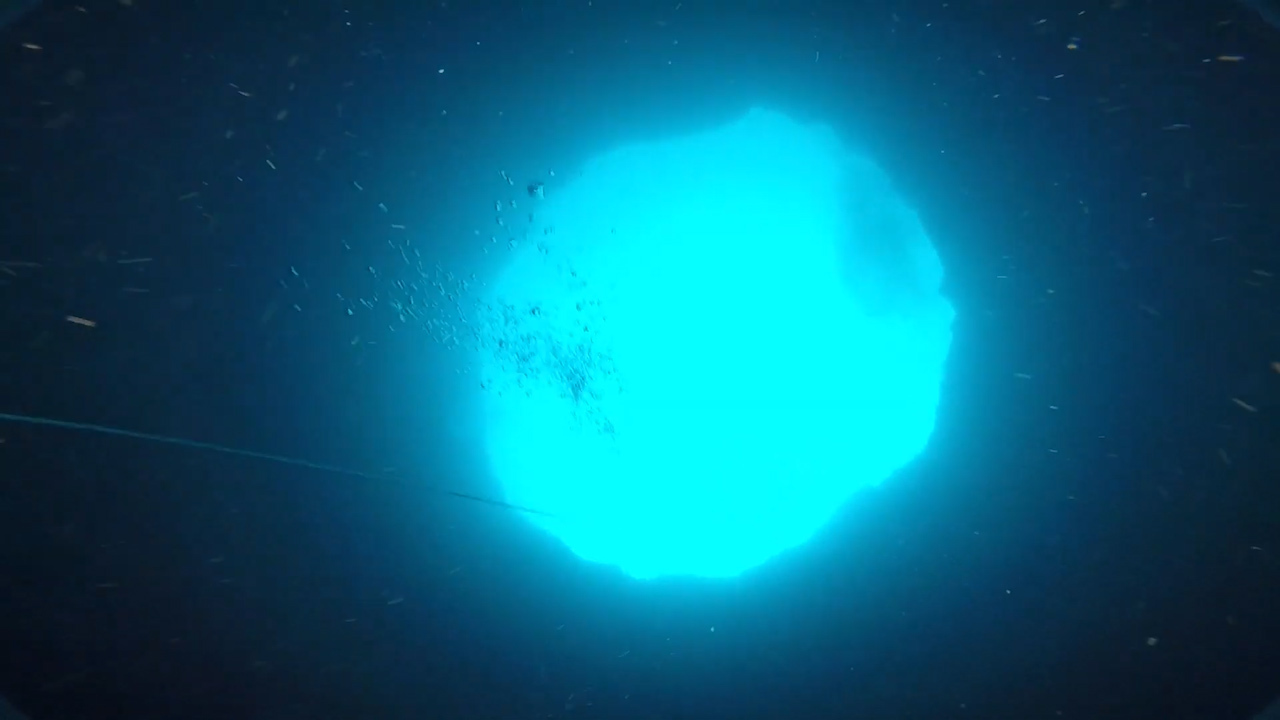 Scientists explore depths of ‘blue hole’ in dive off Florida’s Gulf Coast
