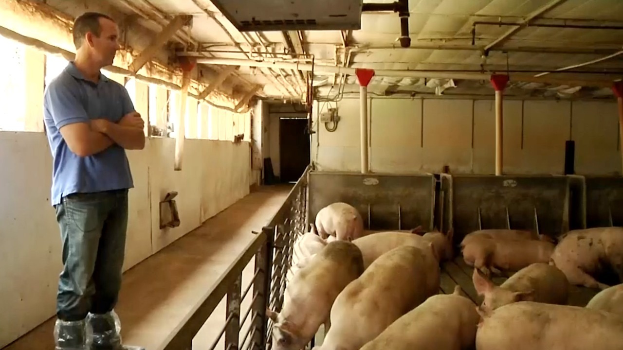 California Republicans complain Trump’s farm aid plan unfair