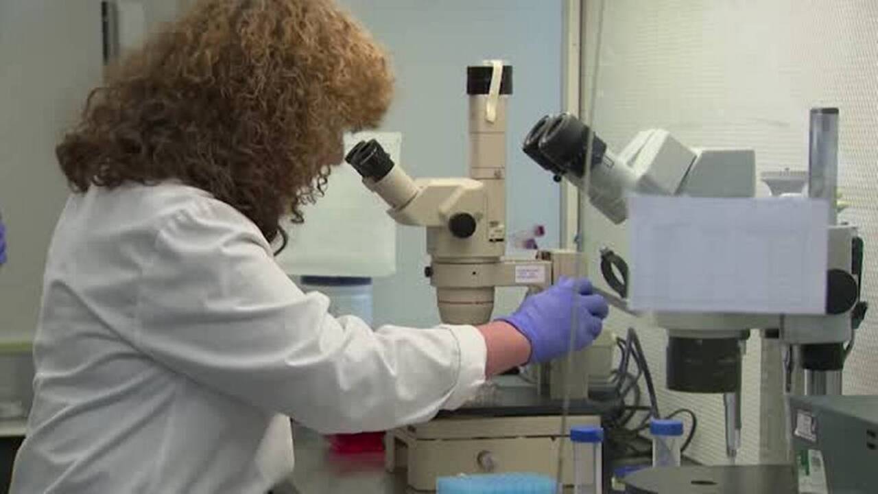 Scientists grow human egg to full maturity outside the body