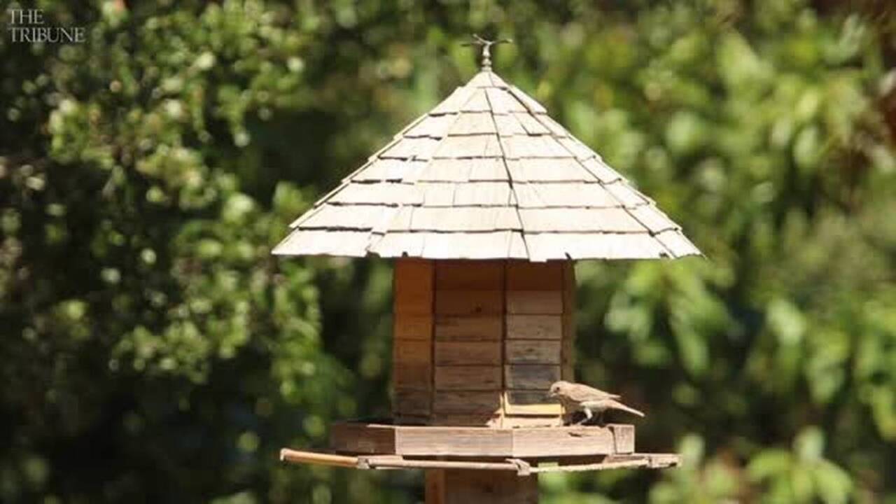 Enchanting garden near Arroyo Grande is a haven for wildlife