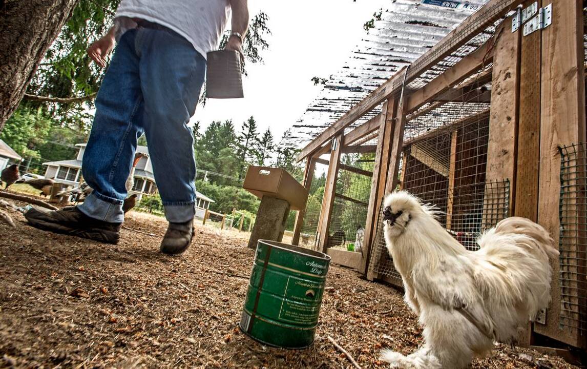 Larry LaRue: Life anything but quiet on this farm