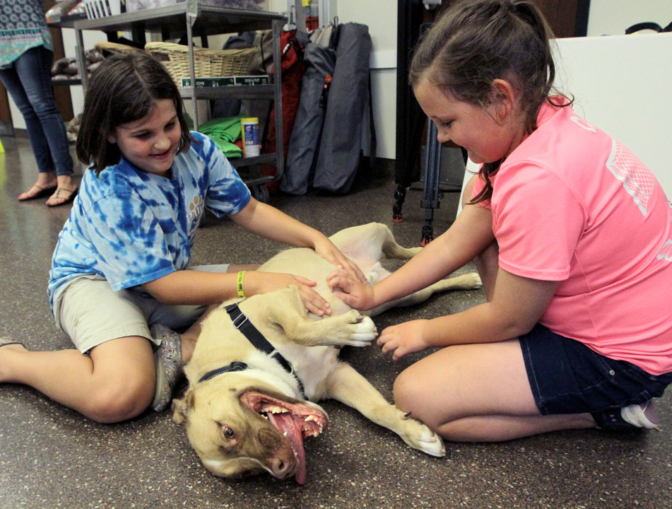 Shelter’s longest resident Maximus is off to a foster home and a family of his own