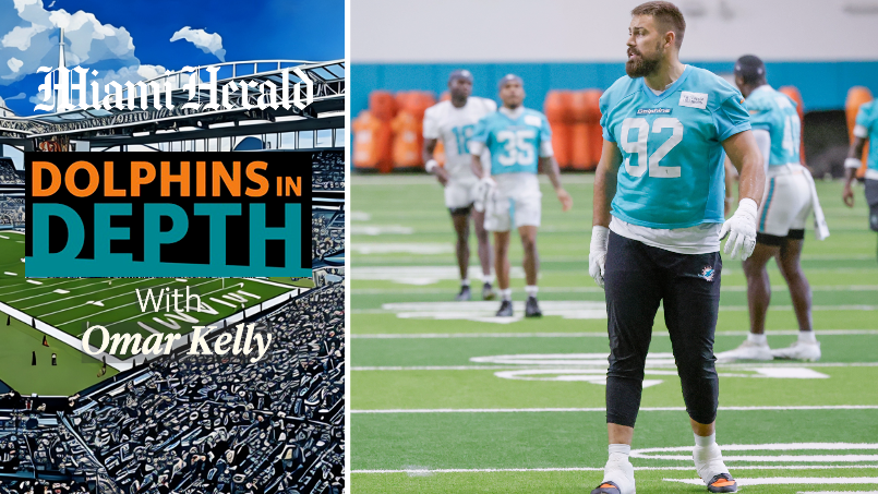 Dolphins in Depth: Positives & Negatives about Dolphins' defense