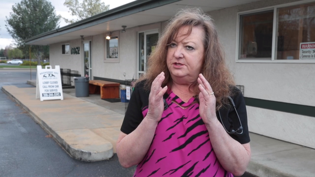 Should you be worried about your pet getting the coronavirus?