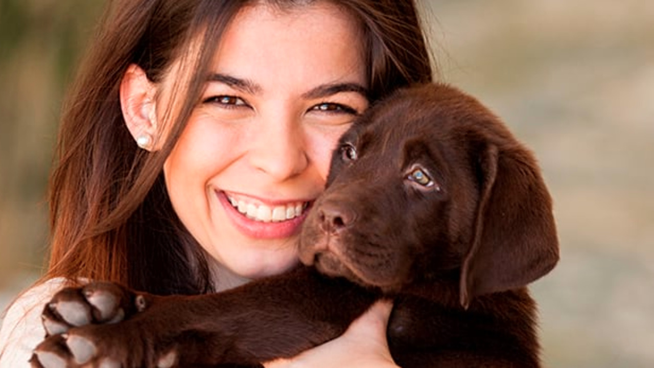 Some of most pet-friendly cities, according to WalletHub
