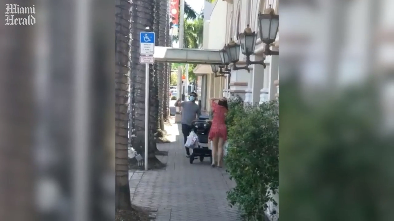 Aggressive nesting birds attack bicyclists, pedestrians in Miami Beach