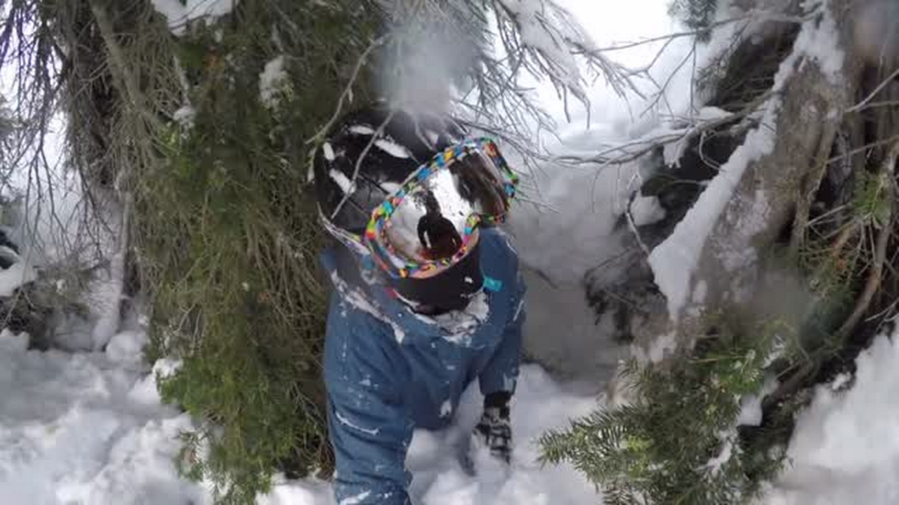 Video: Boise skier OK after fall into tree well at Brundage