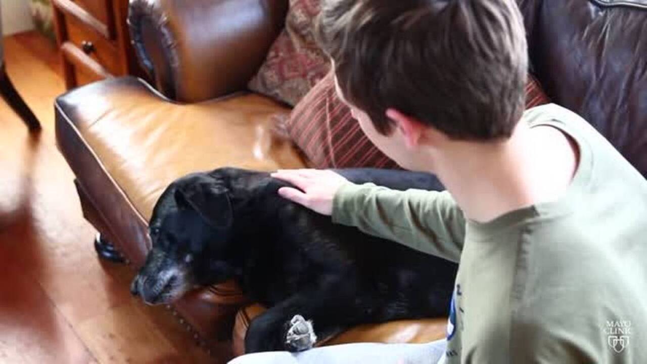 Pets not pills - the healing power of animals