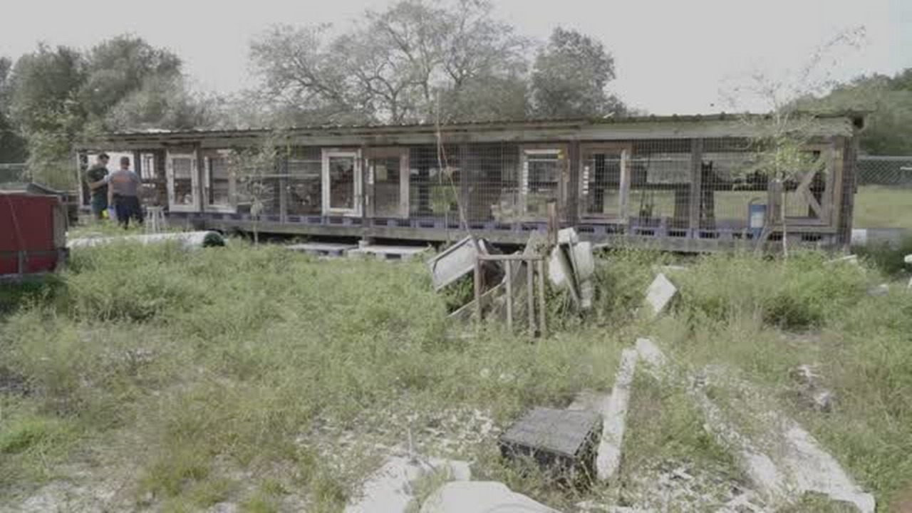 Nate's Honor Animal Rescue in Bradenton to adopt animals from a puppy mill seizure 