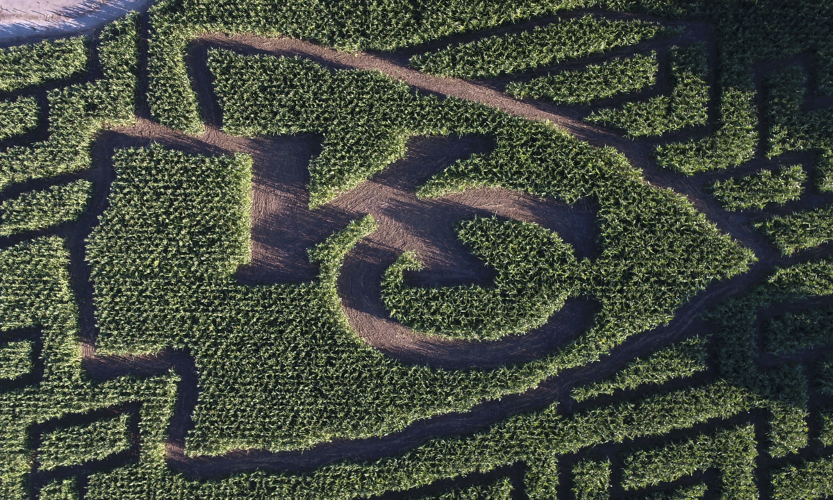 Corn maze incorporates logo of Super Bowl champs