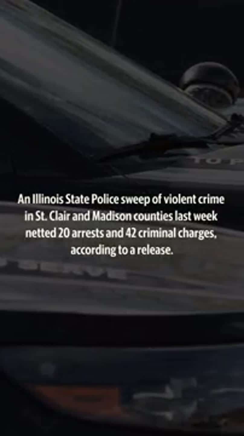 Illinois Crime Sting Results in 30 Felony Charges