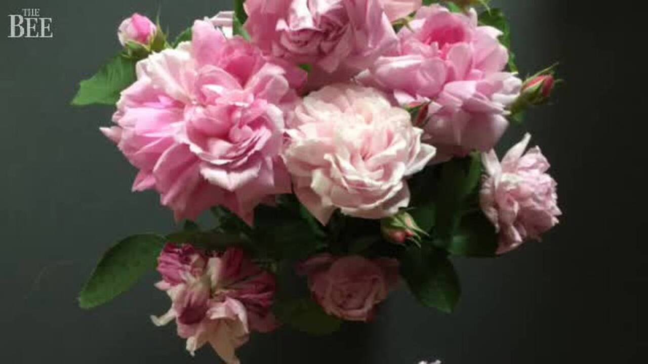 How to take better flower photos with your phone