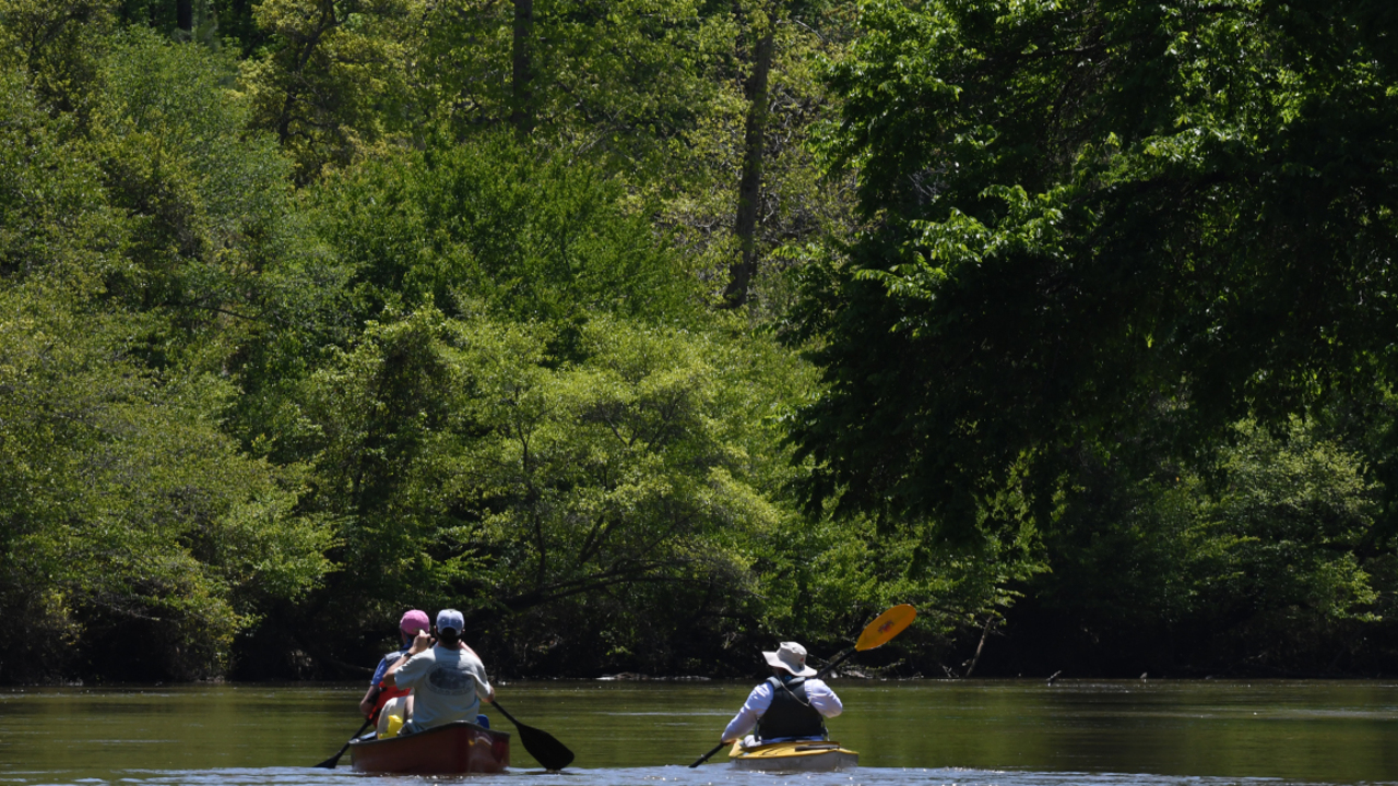 'We're going to have a different river.' Without Milburnie Dam, the Neuse comes alive.