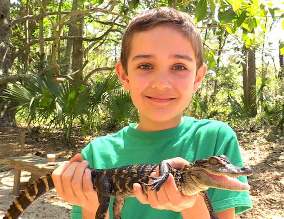 Alligators at Coastal Discovery Museum, with Joe Maffo