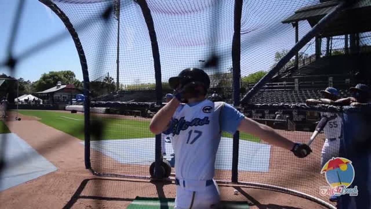 A new pod of Pelicans swoops in to Myrtle Beach for the 2017 season