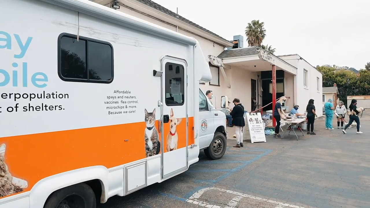 Pet Tales: Snip & Chip events help SLO County pets