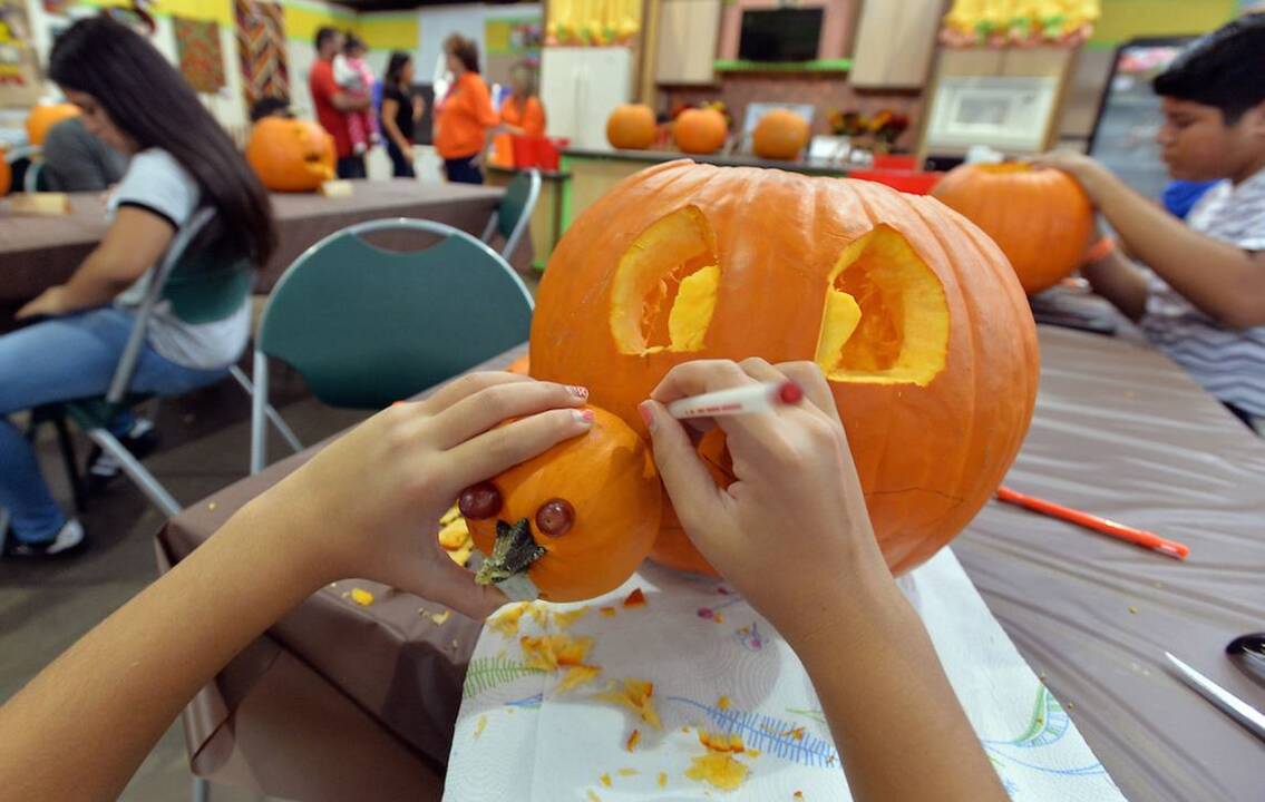 Inspiration for your pumpkin carving can be found at the fair
