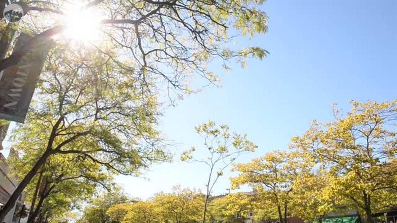 How the threat of Bellis Fair mall led to the greening of downtown Bellingham