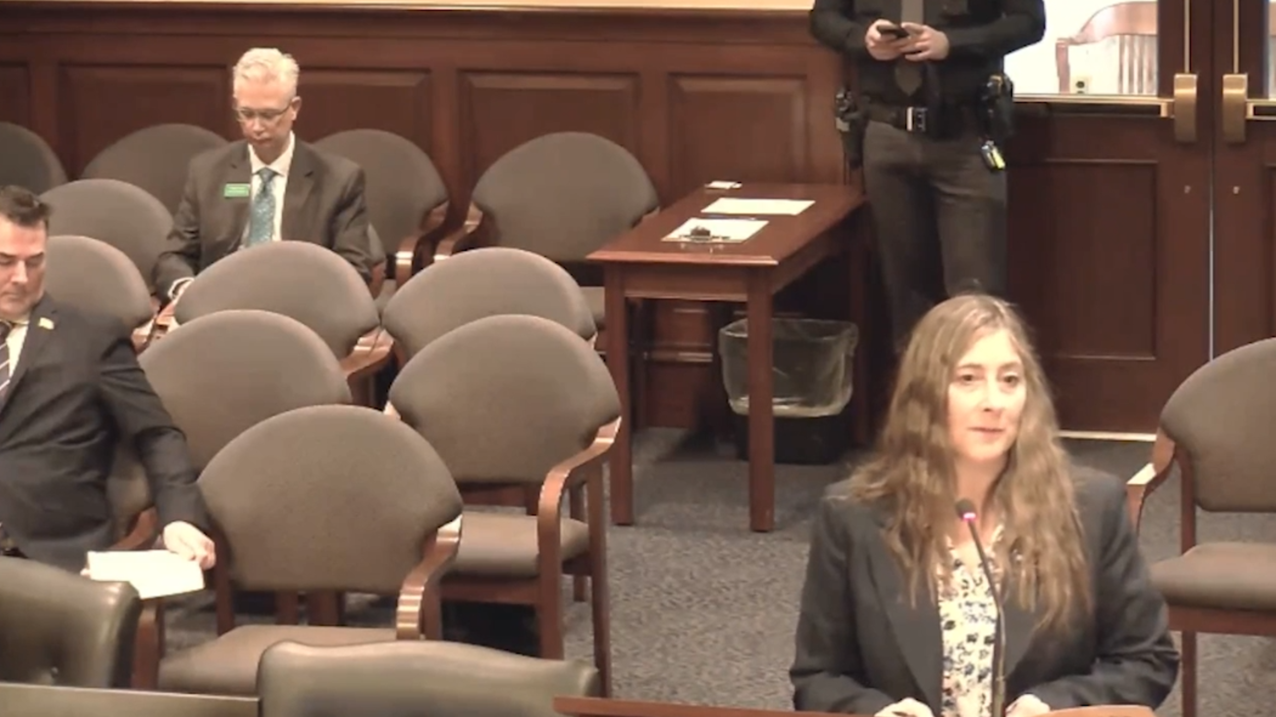 Idaho lawmakers hear child custody bill