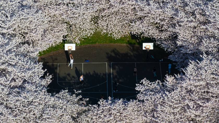 Ballots went out for a $155 million parks bond measure. What would it pay for?